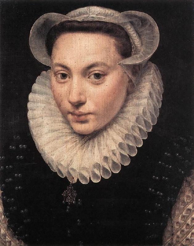 POURBUS, Frans the Elder Portrait of a Young Woman fy France oil painting art
